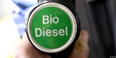 Biodiesel h&auml;ngt in den Seilen