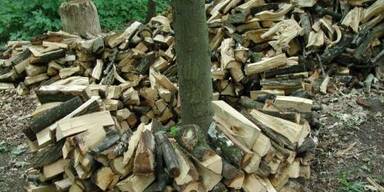 Biomasse weiter im Plus