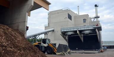 Land heizt mit Holz: 7 neue Biomasse-Werke sollen Energie-Unabh&auml;ngigkeit bringen