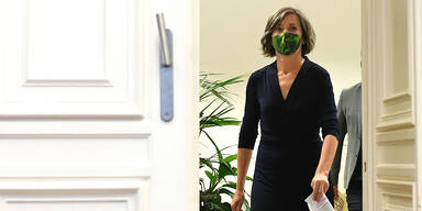 Grüner Aufstand gegen Hebein-Aus in Wien: ''Postenschacher'' | Parteichefin degradiert