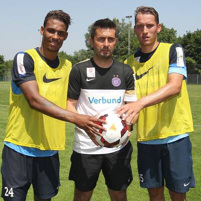 Bjelica leitet erstmals das Austria-Training