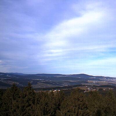 So grün ist derzeit Österreich