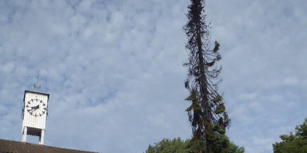 Nach Rekord-Hitze herrscht Unwetter-Alarm