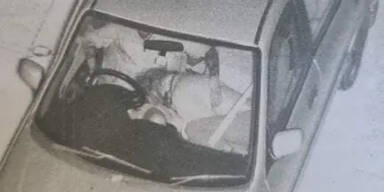 Blitzer-Foto: Dafür muss Pärchen 1.000 Dollar Strafe zahlen