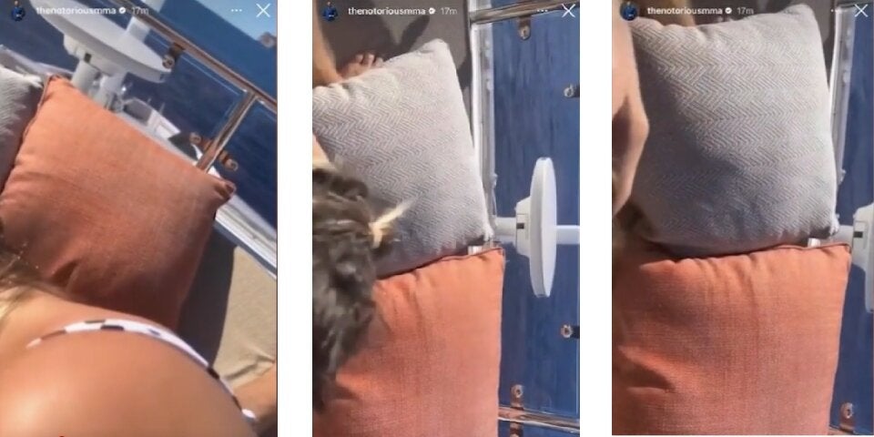 Pikante Aufnahmen: Hat MMA-Fighter McGregor hier Oralsex?