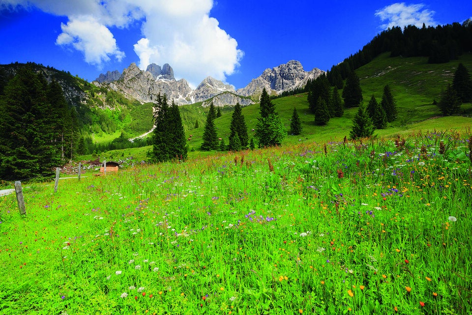 Filzmoos: Bergsommer der Vielfalt