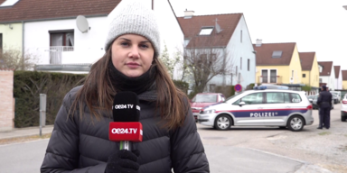 Bluttann ersticht Mutter im Bezirk Gänserndorf.png