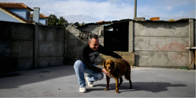 Unglaublich! So alt ist der älteste Hund der Welt