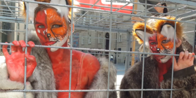 Bodypaint gegen Pelz 1.PNG