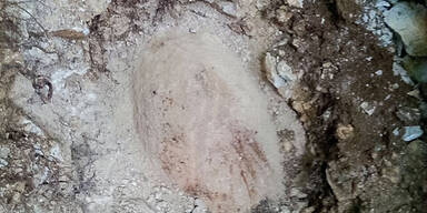 Scharfe Bombe mitten in Salzburg