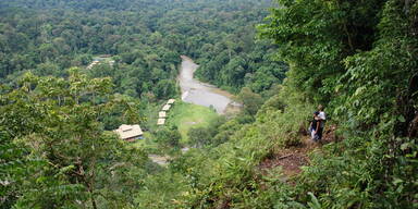 Tierische Reise durch Malaysia