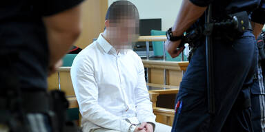 Boxer Mordprozess Wien