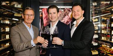Alexander Sch&uuml;tz, Sebastian Kurz, Benjamin Buxbaum