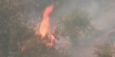 Br&auml;nde Algerien