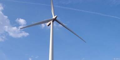 Branche ist zu kleinstrukturiert