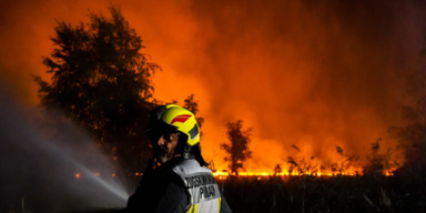 Brand neusiedl.PNG