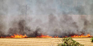 Brand Feld Schwechat