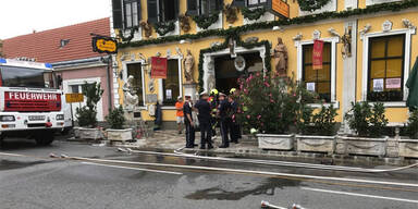 Brand Marchfelderhof