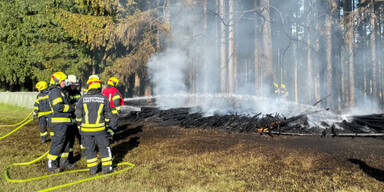 Waldbrand löste Feuerwehreinsatz aus