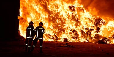 Recycling-Fabrik Pill