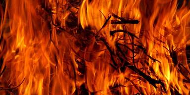 Feuer, Brand - Tierschutz-CH - Brasilien