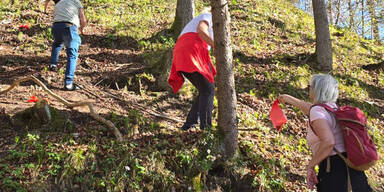 hundkotackerl wasser waldbrand
