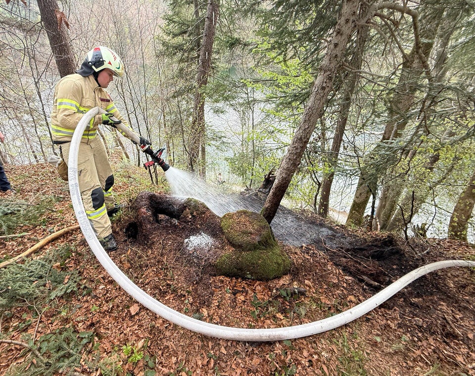 hundkotackerl wasser waldbrand
