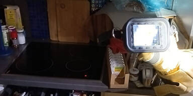 Brand Katzen Kirchberg