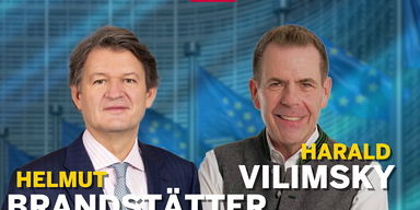 Brandtstatter Vilimsky .png
