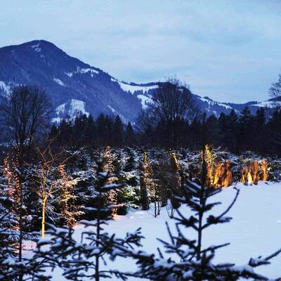 Fiona und Karl-Heinz Grasser