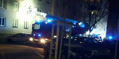 Brigittenau Brand Kinderwagen