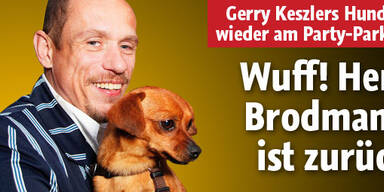 Herr Brodmann ist zurück