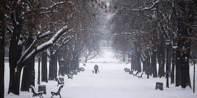 Schneestürme legten Verkehr lahm