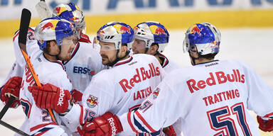 Bullen & Bozen vor Finaleinzug