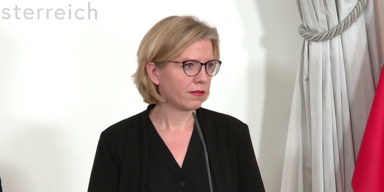 Bund übernimmt steigende Stromnetzentgelte zu 80%.png