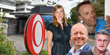 Vier bunte Direktoren neu im Wei&szlig;mann-Team