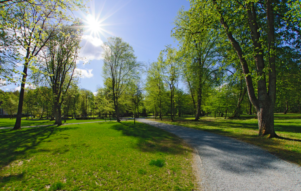Frühlingserwachen: Die besten Wanderungen für das 20-Grad-Wochenende in Österreich