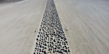 Burning Man Festival