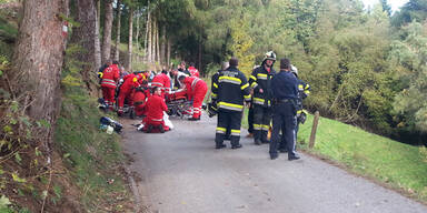 Schulbus stürzt ab: 5 Kinder verletzt