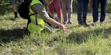 Lobau Miteinander: Neue Initiative bringt Wiener in die Natur