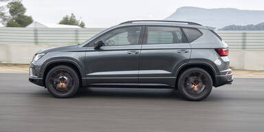 Cupra vom Start weg erfolgreich