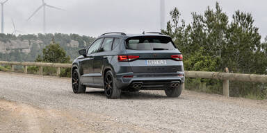 Cupra vom Start weg erfolgreich