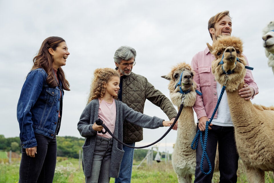 NÖ-Card mit 17 tollen neuen Ausflugszielen