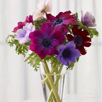 Last-Minute Valentinstagsgeschenke