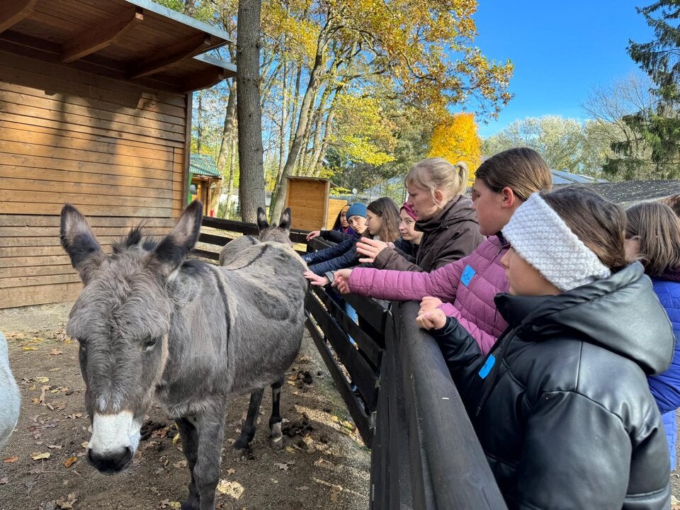 Österreicher spendeten im Vorjahr wieder über eine Milliarde Euro