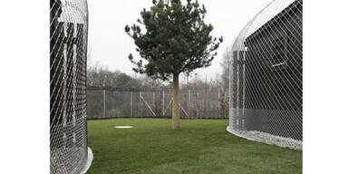 Luxushotel für Hunde eröffnet