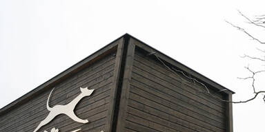 Luxushotel für Hunde eröffnet