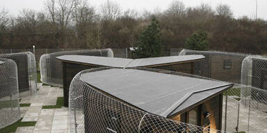 Luxushotel für Hunde eröffnet