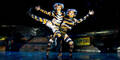 Musical Cats bis 3. August