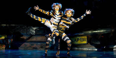 Musical Cats bis 3. August